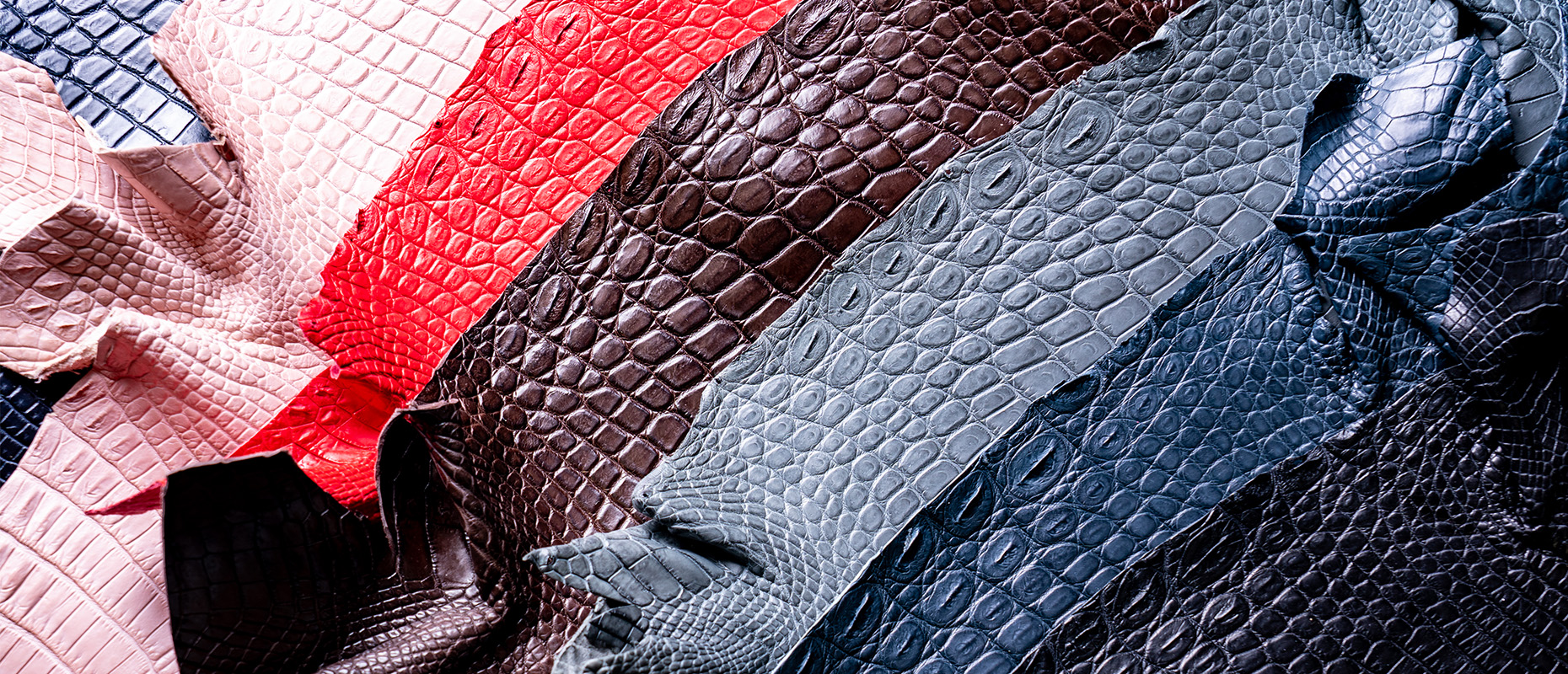 クロコダイルなどを中心にエキゾチックレザー全般を扱っております