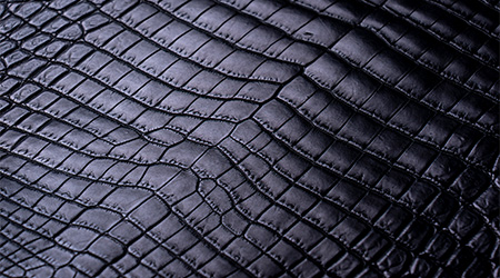 ワニ・ヘビ・トカゲ・オーストリッチ・エレファントなど、希少な革を扱います