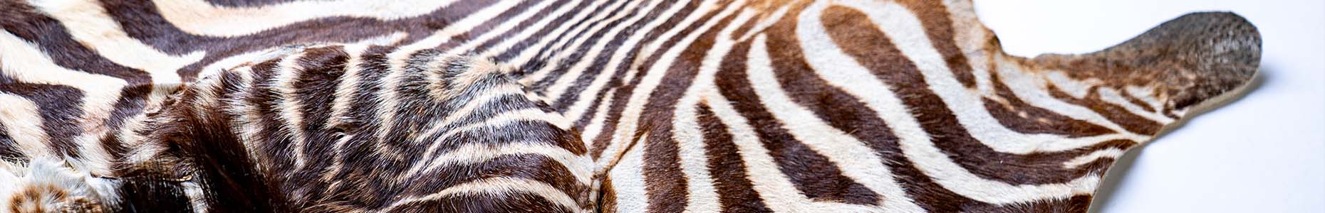 株式会社コビームについて