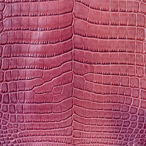 ナイルクロコダイルブラウン