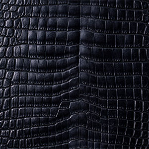ナイルクロコダイルブラック