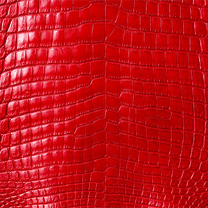 ナイルクロコダイルレッド