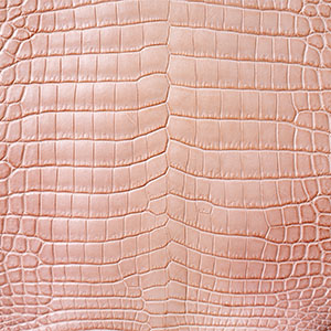 ナイルクロコダイルライトブラウン