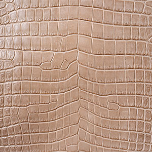 ナイルクロコダイルベージュ